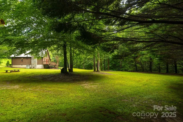 a view of a lush green field with a mountain in the background