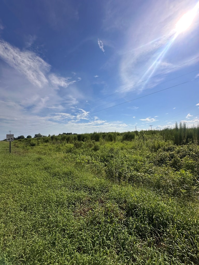3-acres 3-acres Bill Yance Road Dothan, AL 36301 - Photo 4 of 7