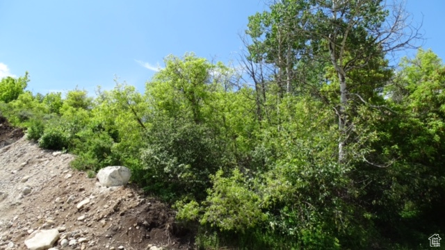 1775 South Beaver Bench Road, Unit 1424 Heber City, UT 84032 - Photo 10 of 38