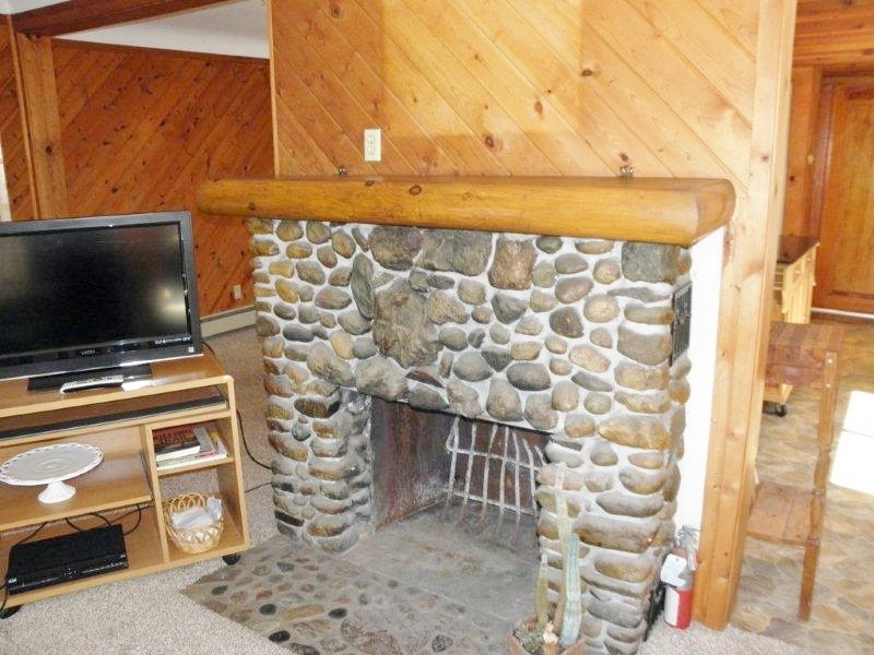 8915 Deadstream Road Honor, MI 49640 - Photo 8 of 21 1808760-7.JPG