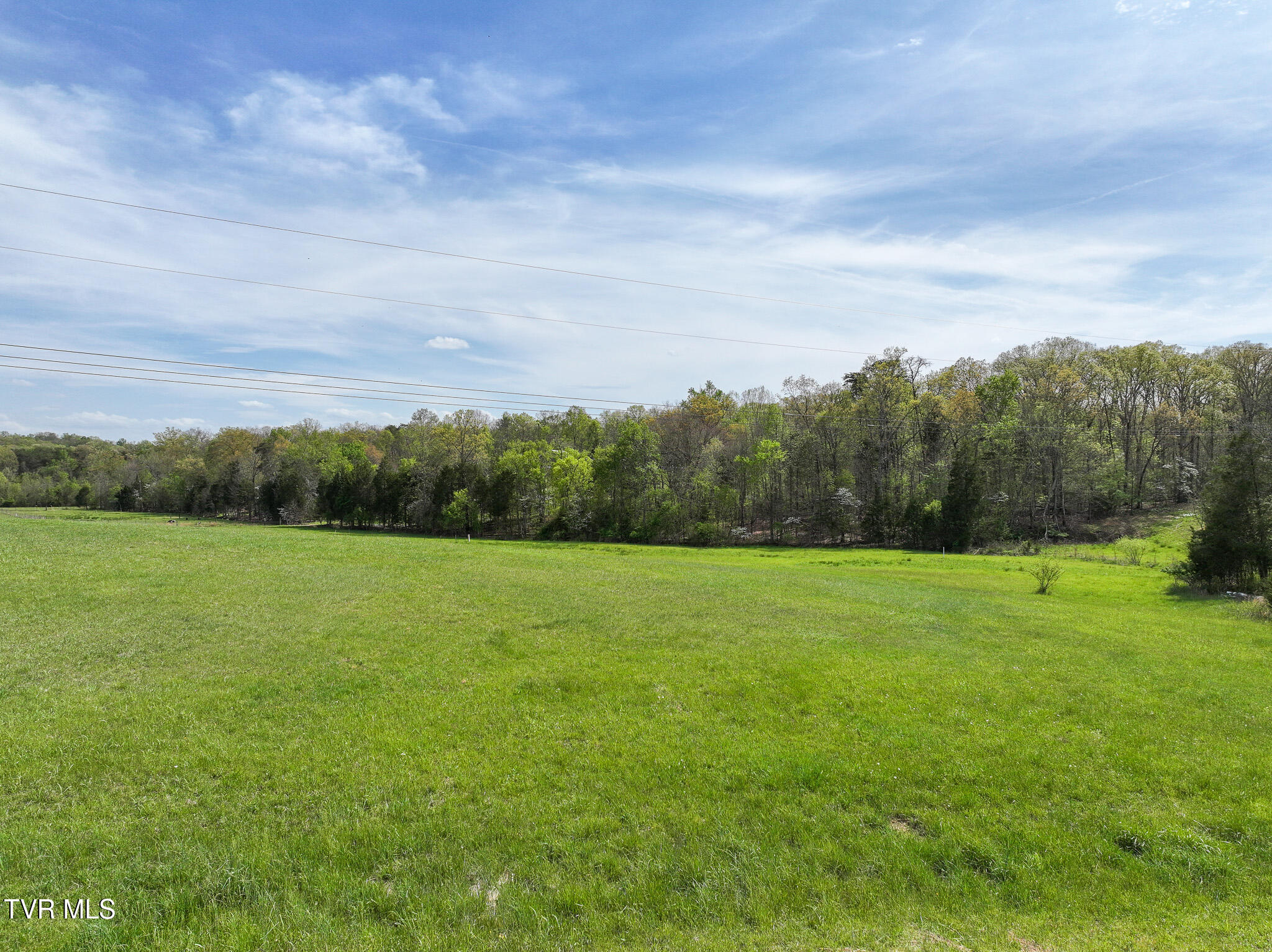 815 Flatwoods Road Mosheim, TN 37818 - Photo 45 of 65 52