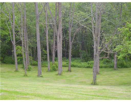 235 Goldscheitter Road Sarver, PA 16055 - Photo 16 of 18 Land/Lot.