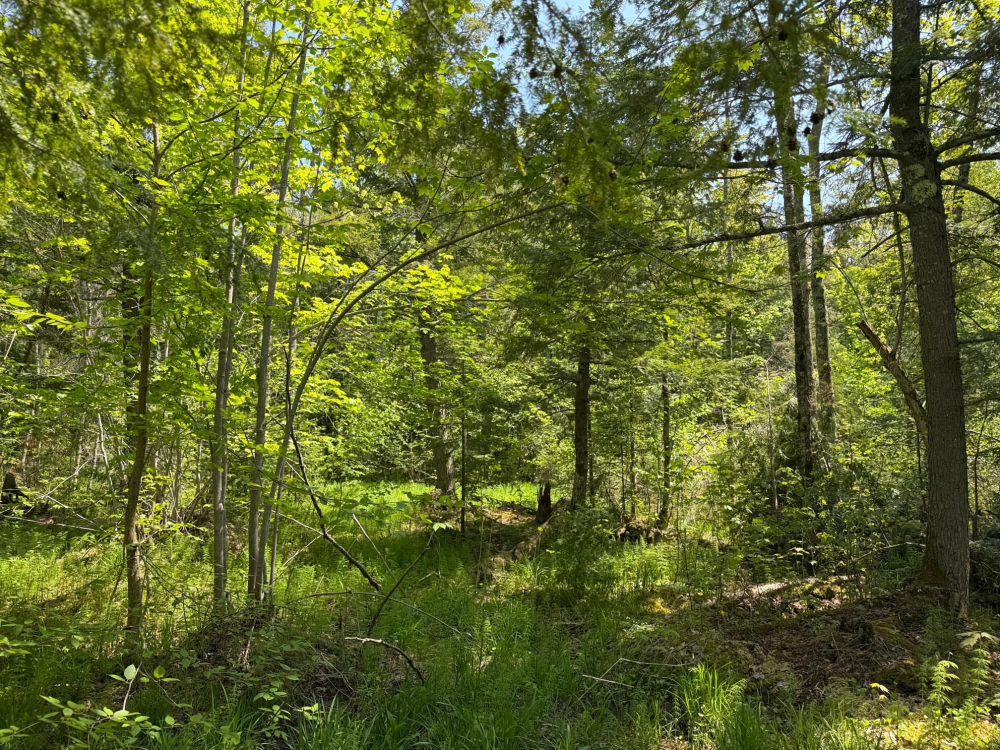 Off Lake Road East Ironwood, MI 49938 - Photo 3 of 27 Gallery Image 3