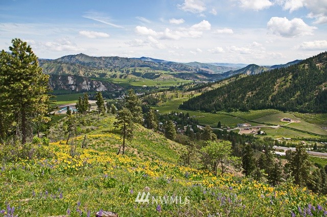 0 Beecher Hill Road Peshastin, WA 98847 - Photo 2 of 6 Gallery Image 2