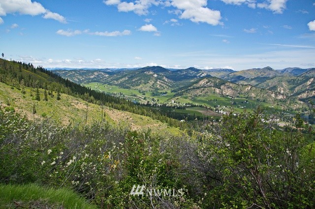0 Beecher Hill Road Peshastin, WA 98847 - Photo 3 of 6 Gallery Image 3