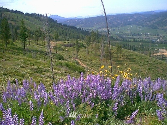 0 Beecher Hill Road Peshastin, WA 98847 - Photo 5 of 6 Gallery Image 5