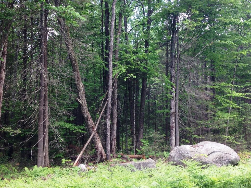 36 Mt Misery Road Littleton, NH 03561 - Photo 31 of 32