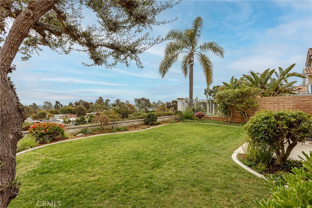 29672 Teracina Laguna Niguel, CA 92677 - Photo 30 of 35 a view of a yard with a tree