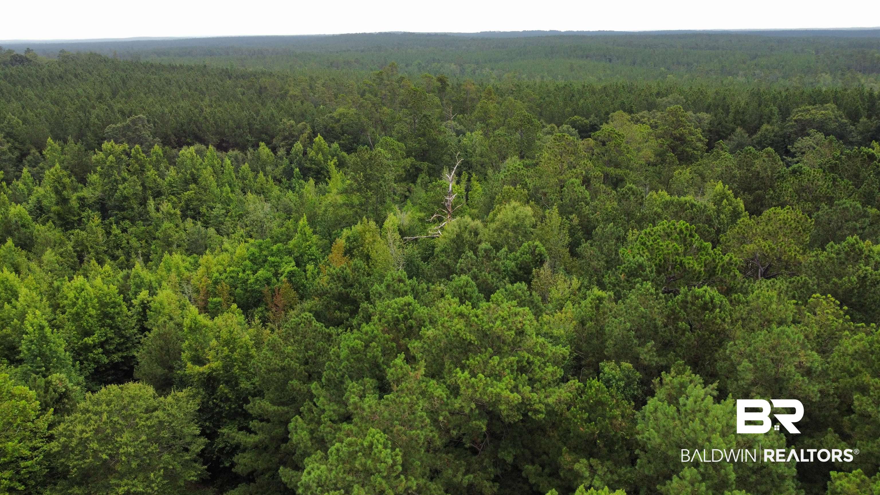2520 Foshee Road Brewton, AL 36426 - Photo 4 of 10
