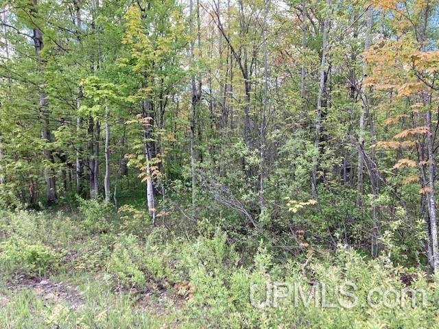 2 Boundary Road Chassell, MI 49916 - Photo 39 of 77
