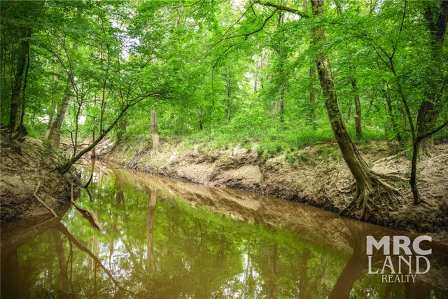 a view of an outdoor space