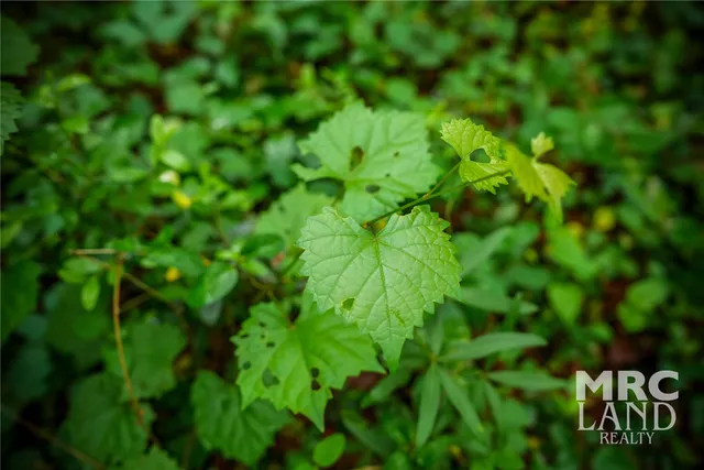 a car parked in the side of a road