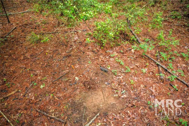 a view of sign board