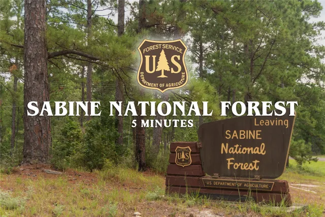 a view of a swimming pool and an outdoor space