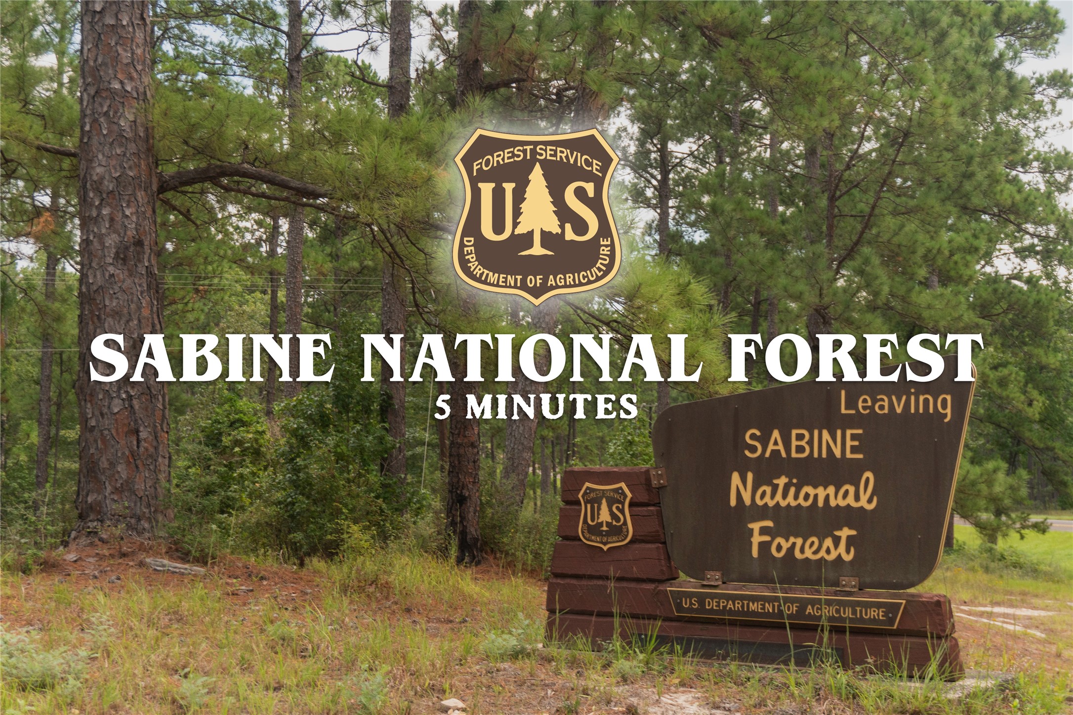 0 Dorsey Road Bronson, TX 75930 - Photo 22 of 47