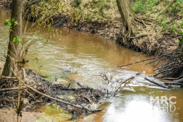 a view of a lush green space with sea