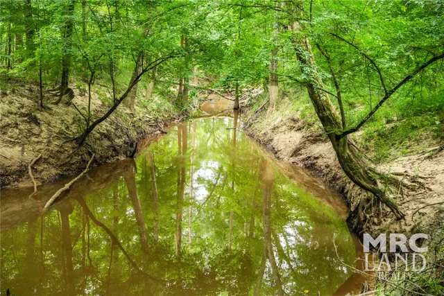 $197,300 | 0 Dorsey Road, Bronson, TX 75930