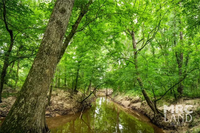 $197,300 | 0 Dorsey Road, Bronson, TX 75930