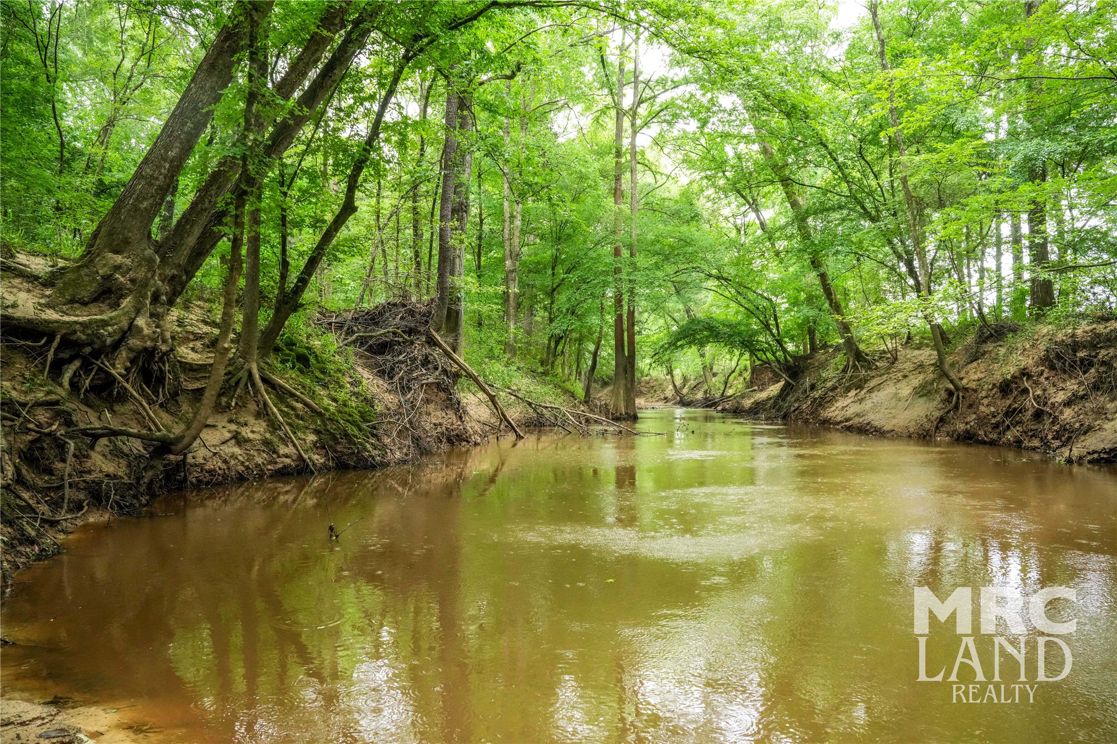 0 Dorsey Road Bronson, TX 75930 - Photo 6 of 47 a view of an ocean view