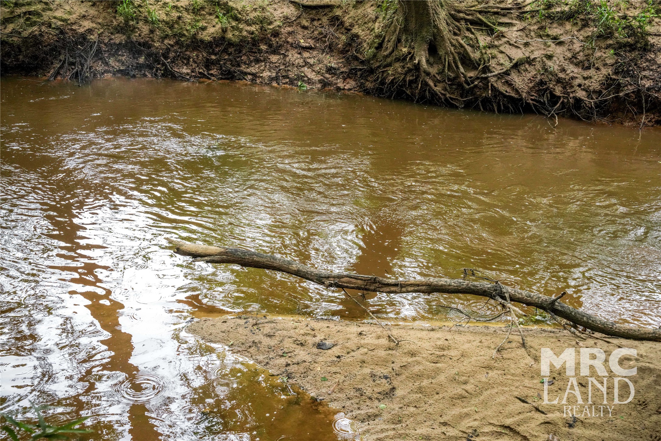 0 Dorsey Road Bronson, TX 75930 - Photo 8 of 47 a view of an ocean