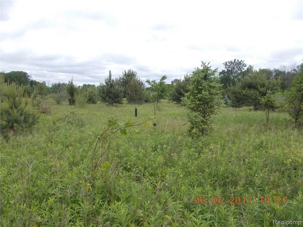 3233 Phillips Road Kingston, MI 48741 - Photo 6 of 9