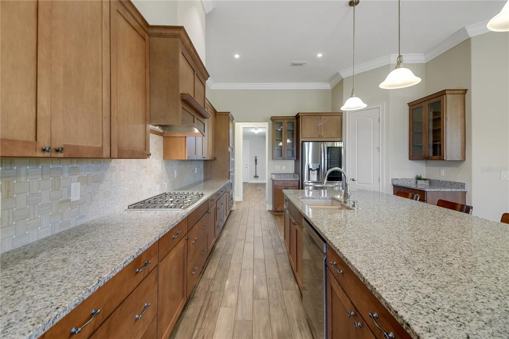 6008 Apex Way Lady Lake, FL 32159 - Photo 37 of 93 a large kitchen with granite countertop a large counter top space a sink stainless steel appliances and cabinets