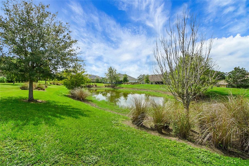 6008 Apex Way Lady Lake, FL 32159 - Photo 44 of 93