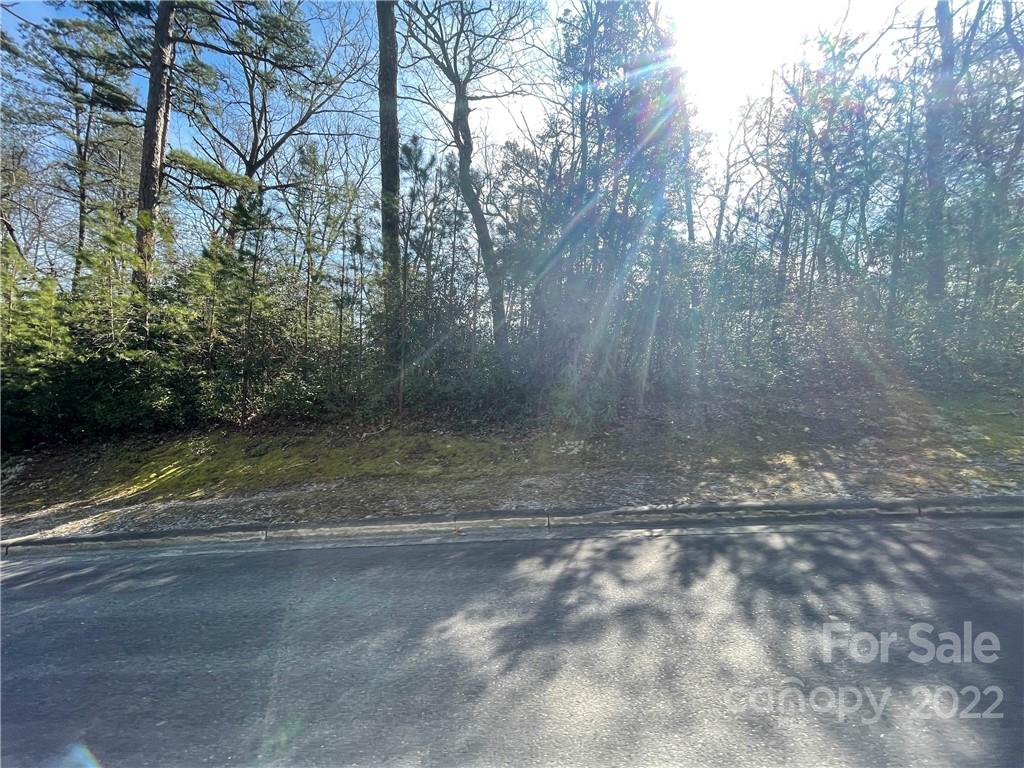 M111 Camptown Road Brevard, NC 28712 - Photo 1 of 18 Gallery Image 1