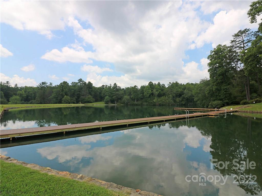 M111 Camptown Road Brevard, NC 28712 - Photo 13 of 18 Gallery Image 13