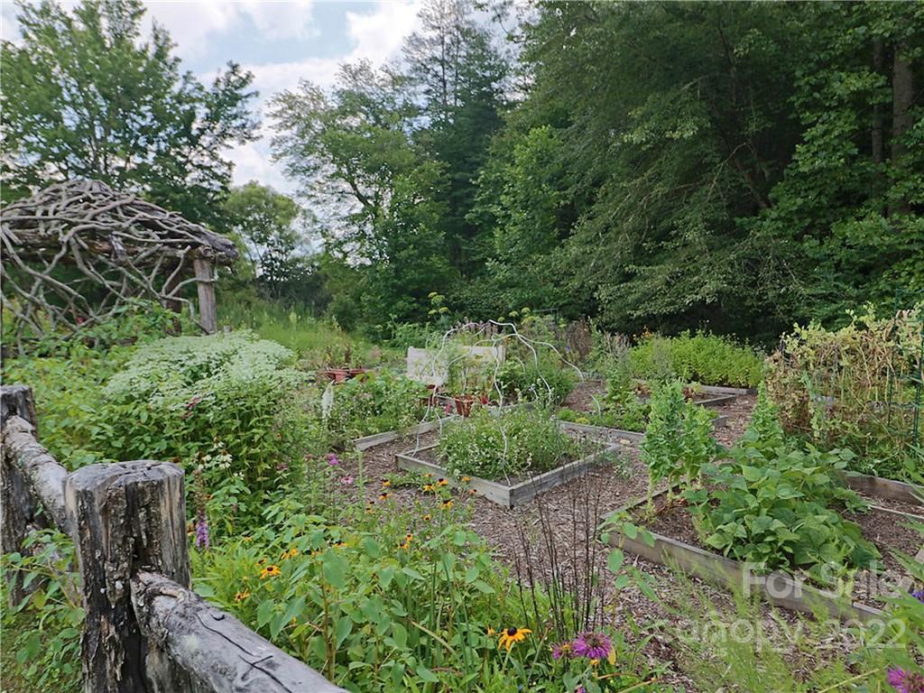 M111 Camptown Road Brevard, NC 28712 - Photo 17 of 18 Gallery Image 17