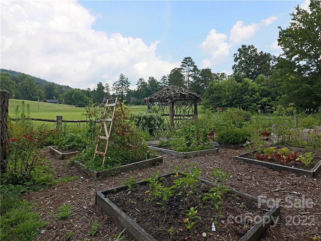 M111 Camptown Road Brevard, NC 28712 - Photo 18 of 18 Gallery Image 18