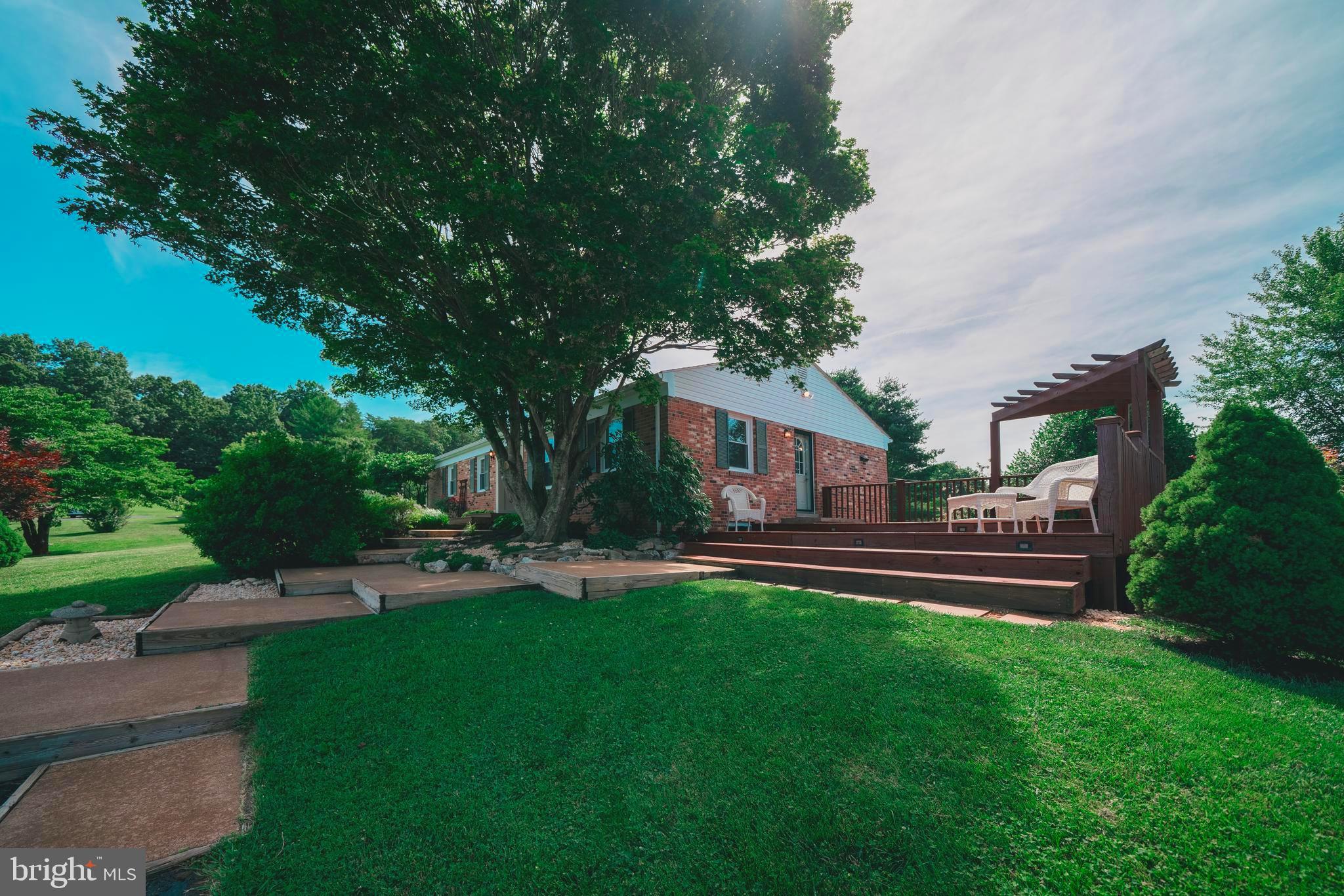 230 Blankenbaker Road Madison, VA 22727 - Photo 4 of 51 Great outdoor area