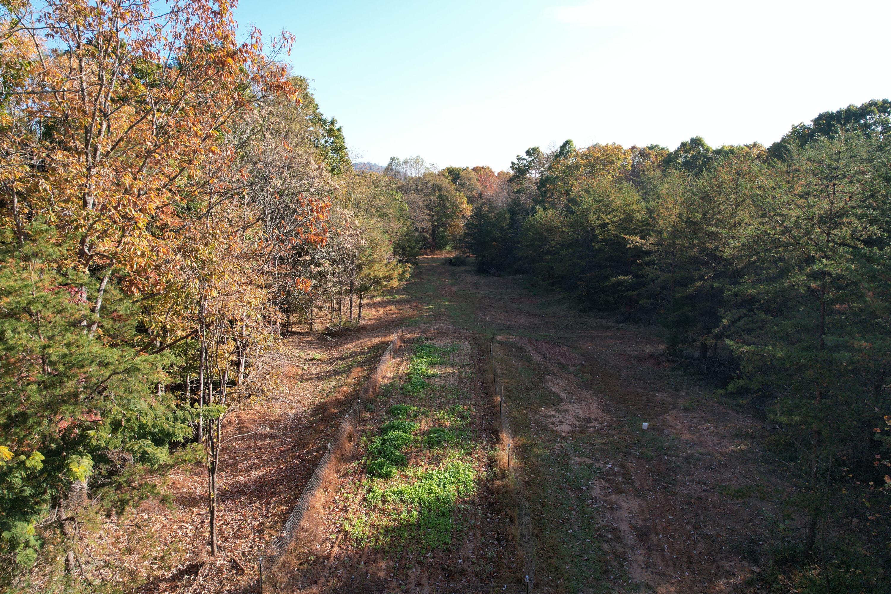 0 Bethlehem Road Boones Mill, VA 24065 - Photo 11 of 41 DJI_0010