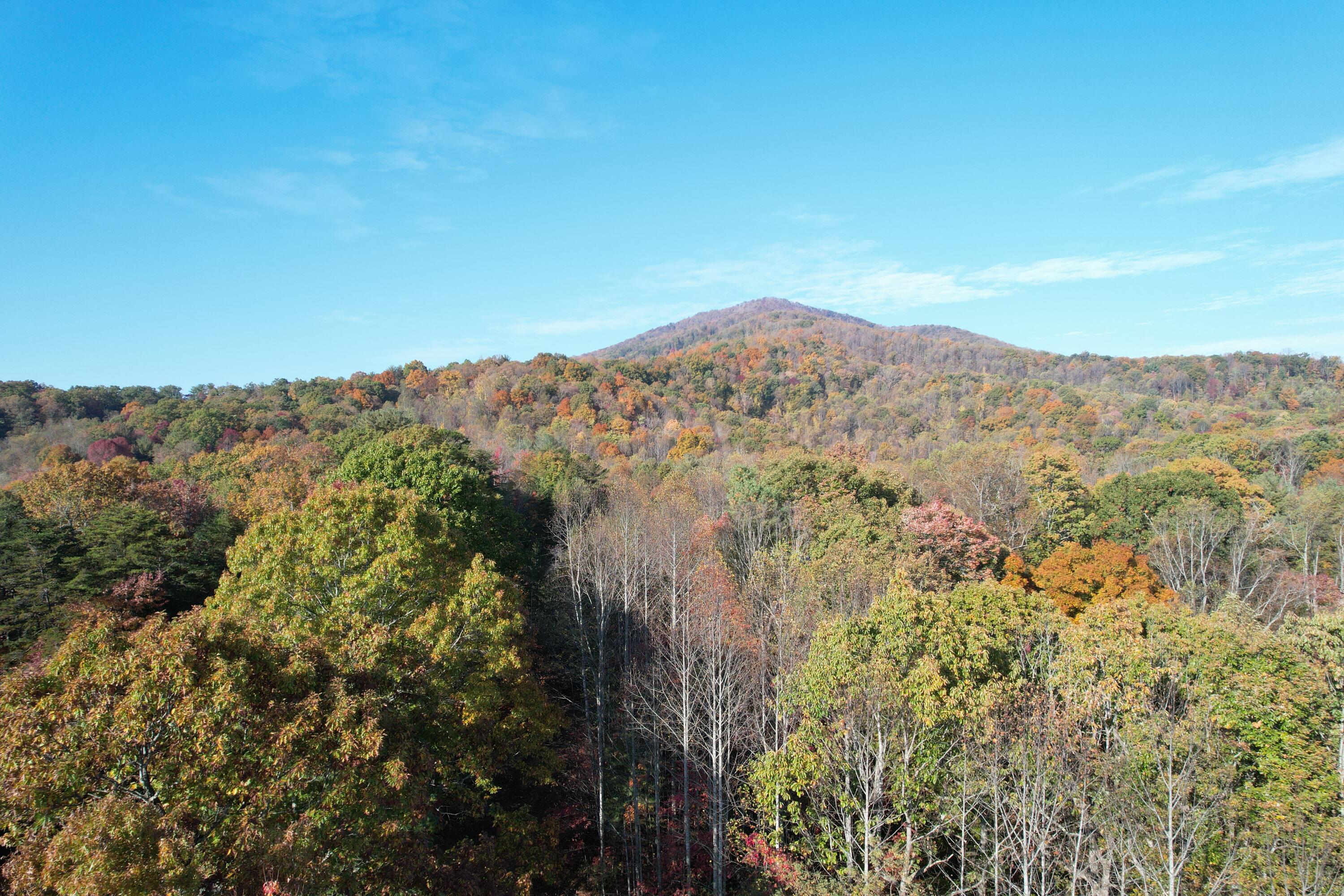 0 Bethlehem Road Boones Mill, VA 24065 - Photo 12 of 41 DJI_0011