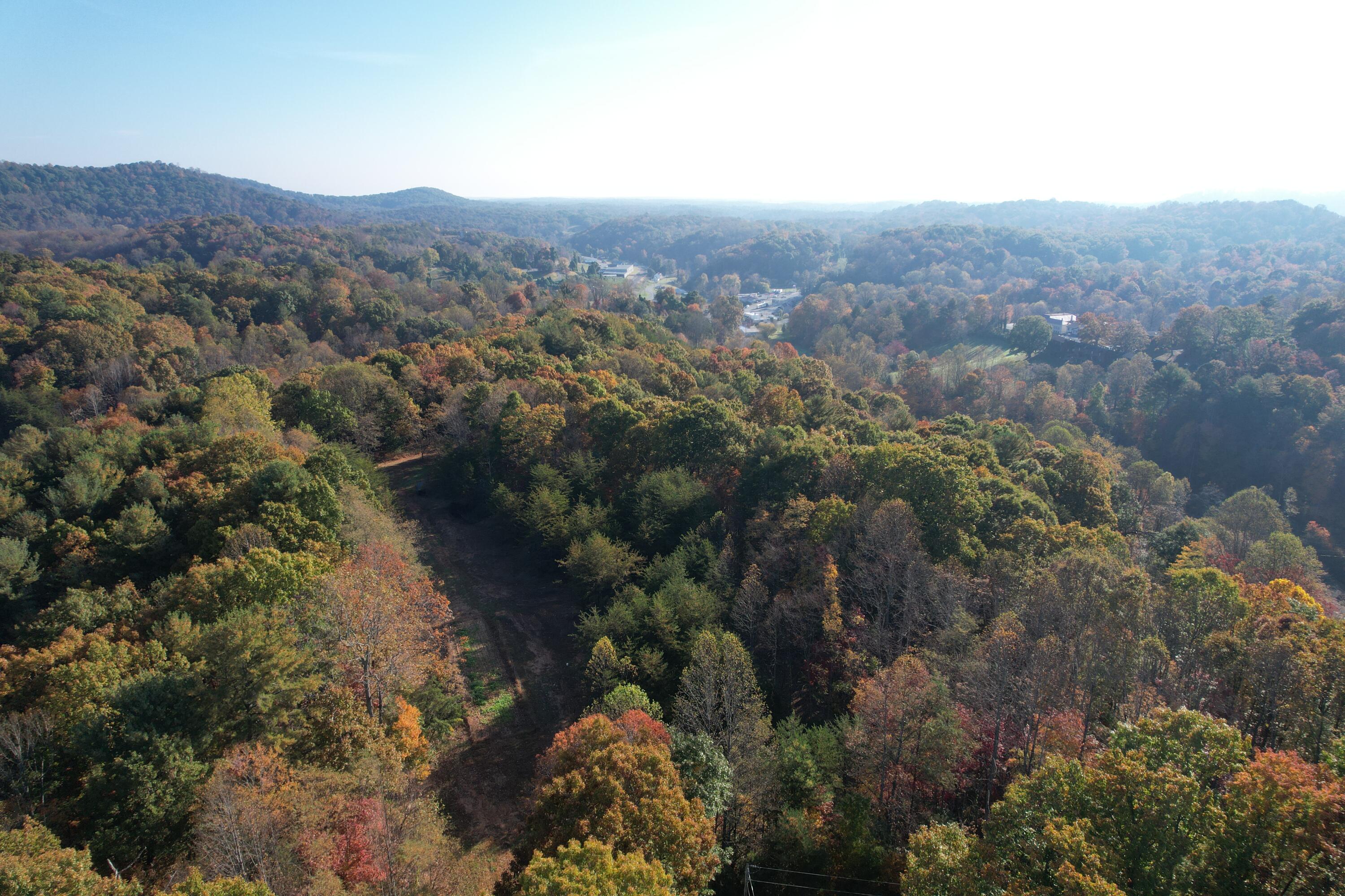 0 Bethlehem Road Boones Mill, VA 24065 - Photo 13 of 41 DJI_0012