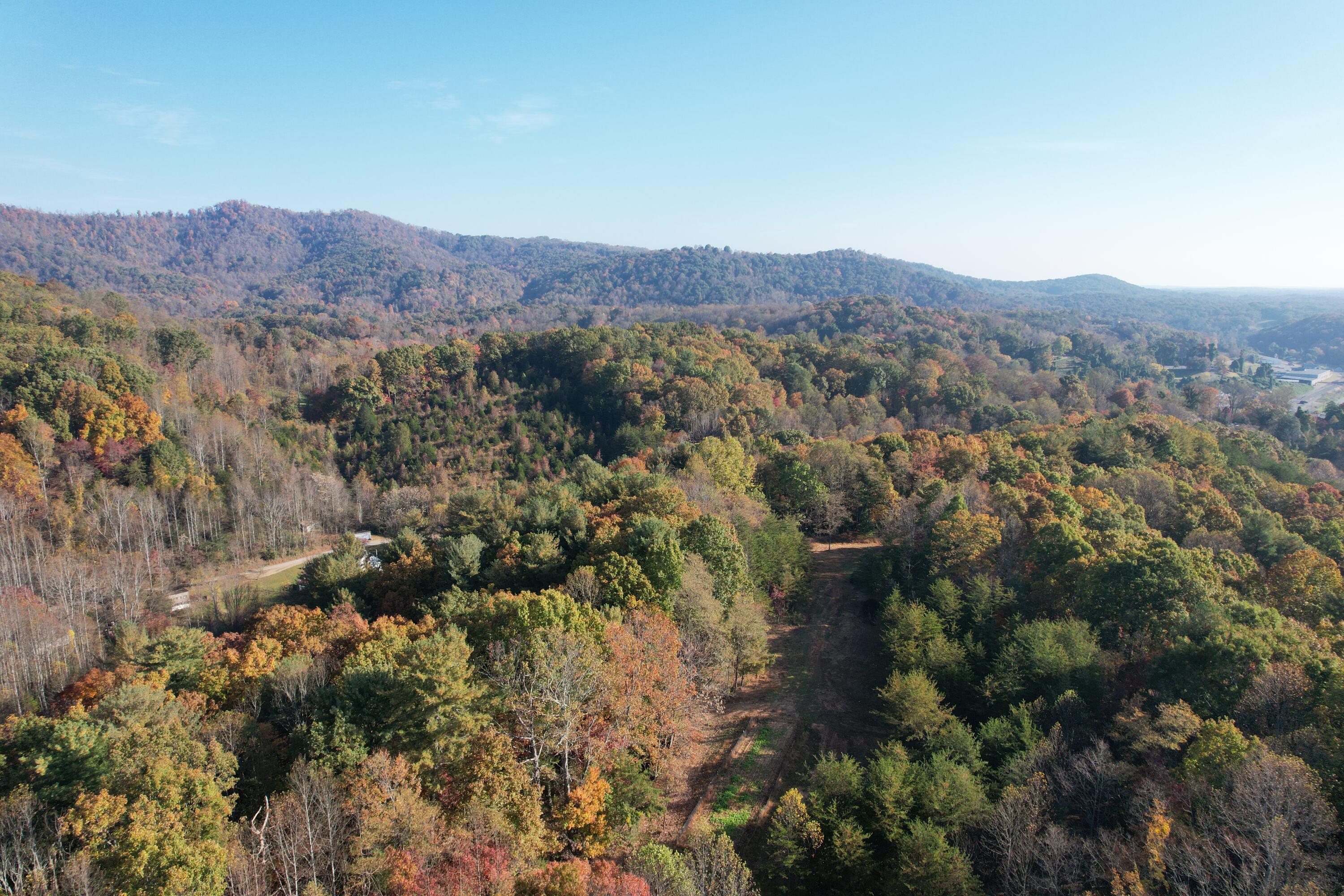 0 Bethlehem Road Boones Mill, VA 24065 - Photo 14 of 41 DJI_0013
