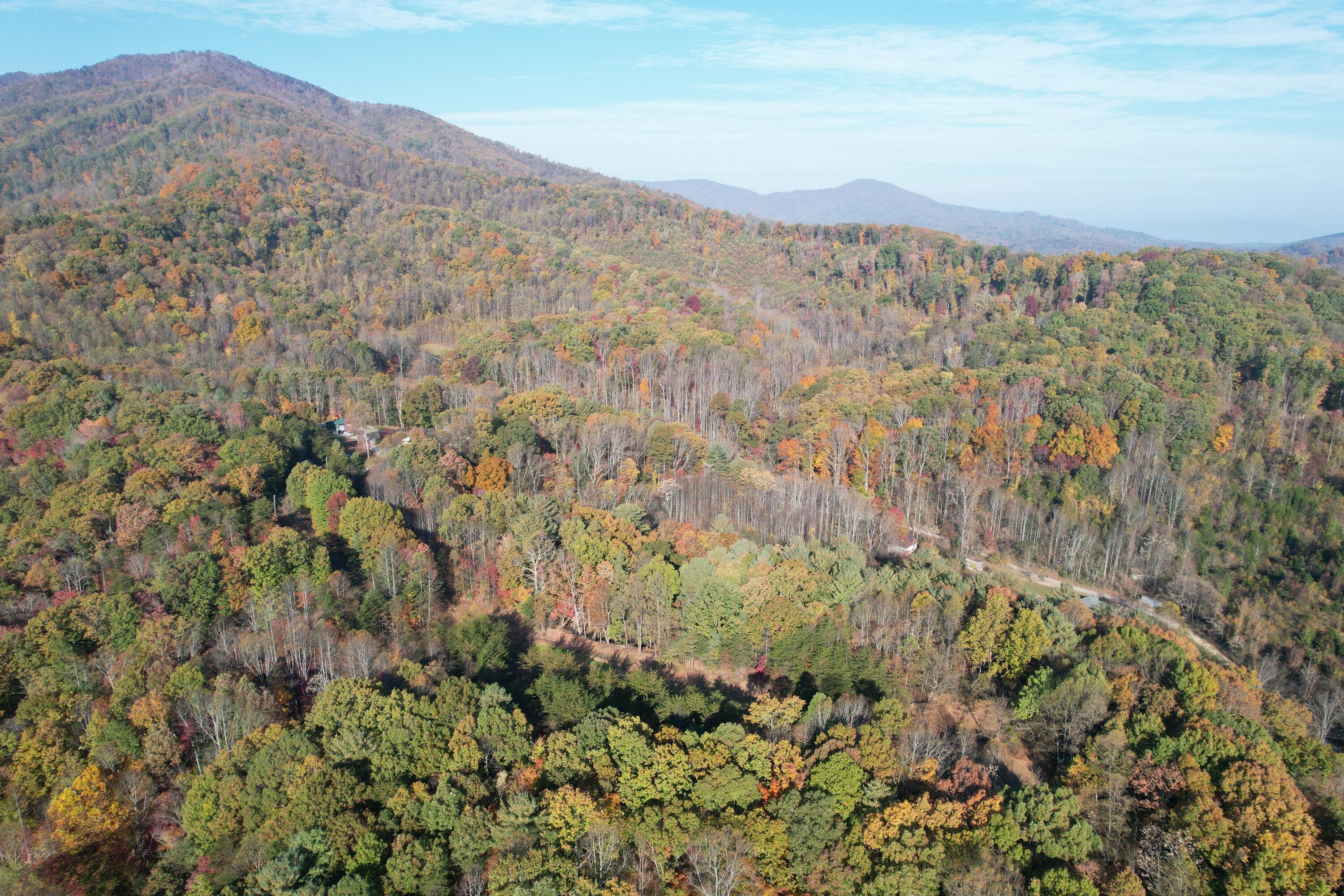 0 Bethlehem Road Boones Mill, VA 24065 - Photo 17 of 41 DJI_0016