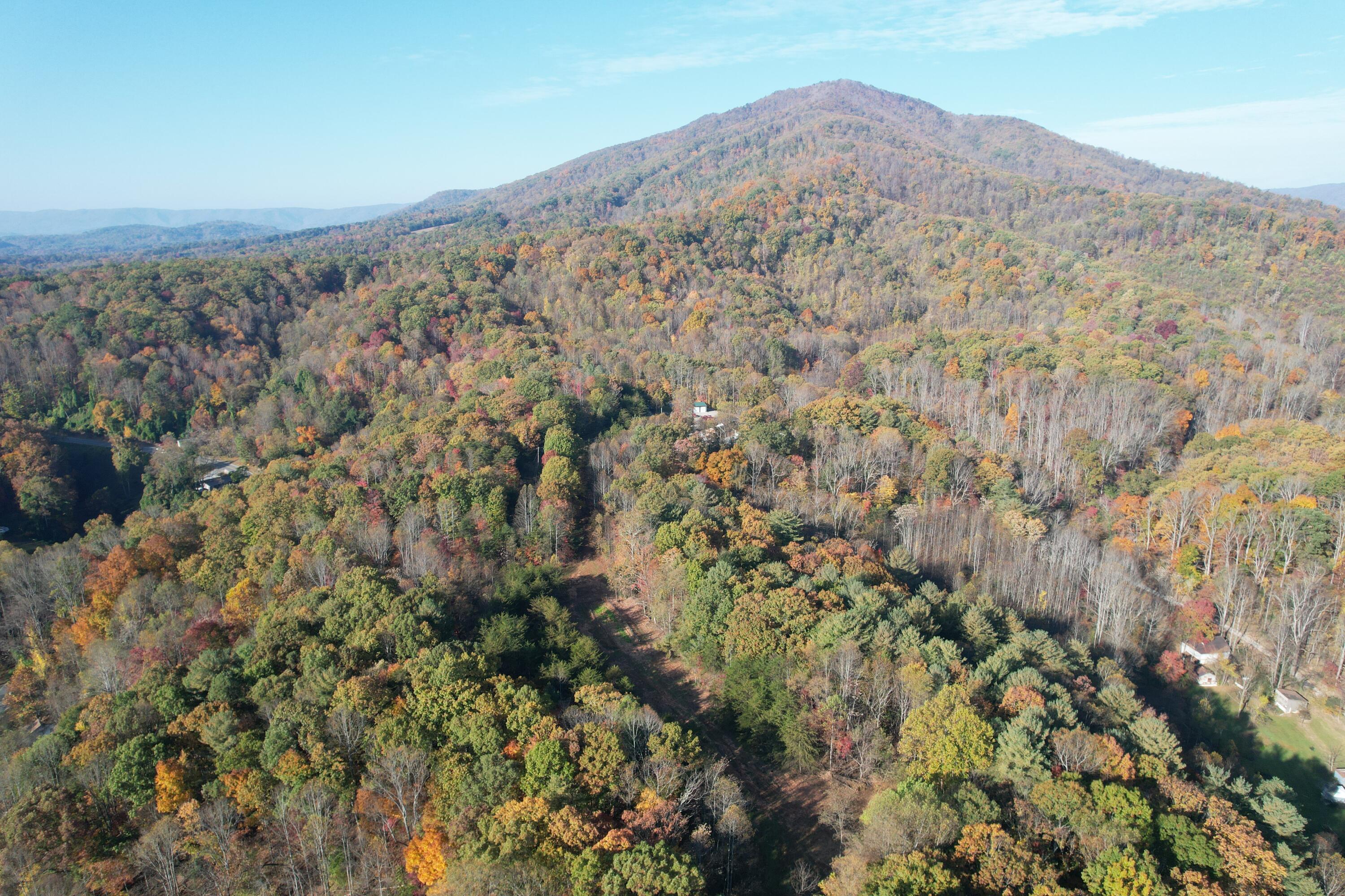 0 Bethlehem Road Boones Mill, VA 24065 - Photo 18 of 41 DJI_0017