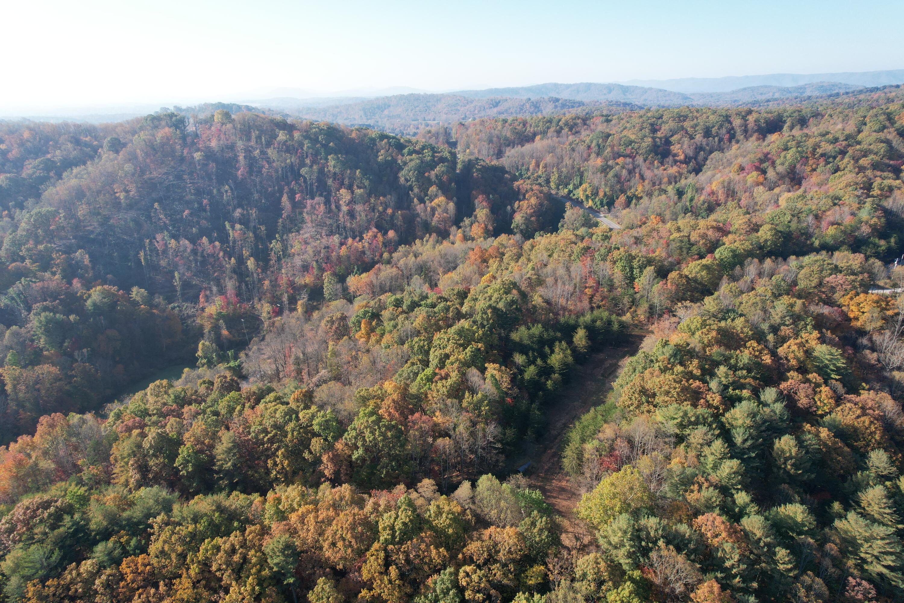 0 Bethlehem Road Boones Mill, VA 24065 - Photo 20 of 41 DJI_0019