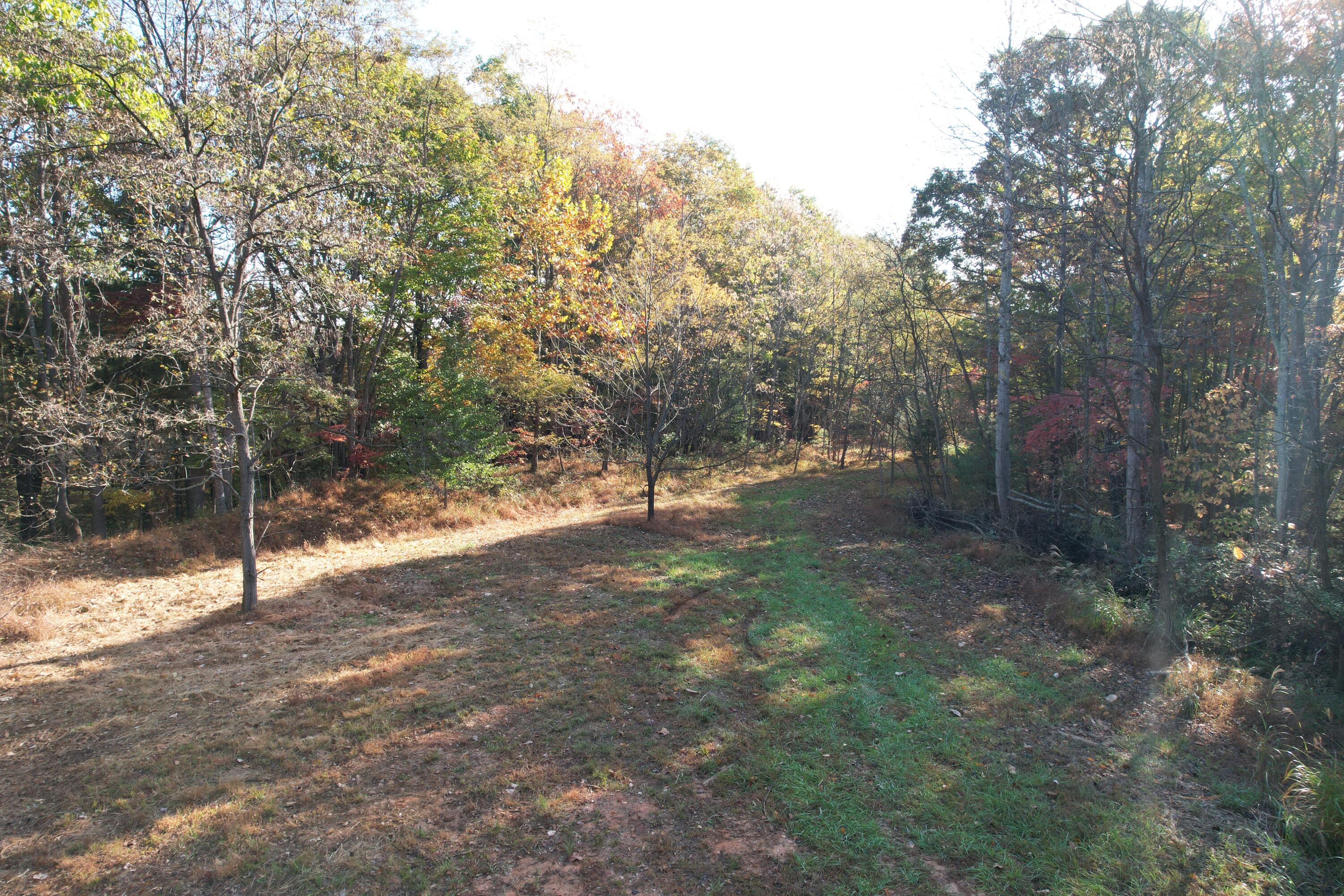DJI_0003