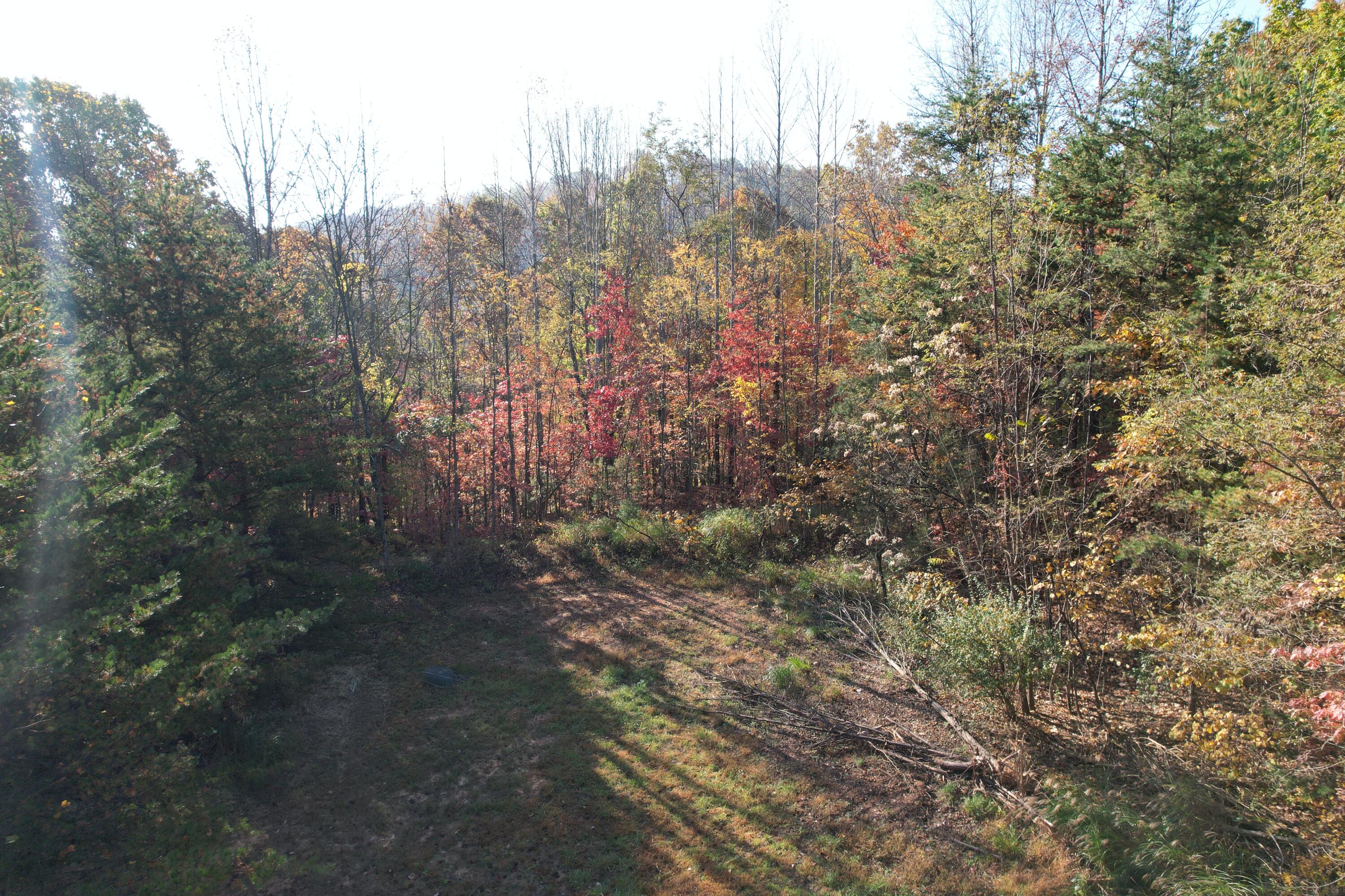 0 Bethlehem Road Boones Mill, VA 24065 - Photo 10 of 41 DJI_0009
