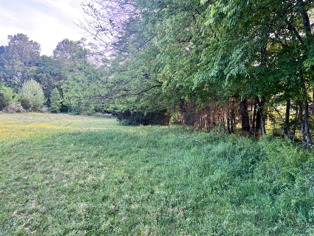 698 Clearview Road Cottontown, TN 37048 - Photo 21 of 23 a view of outdoor space with deck and yard