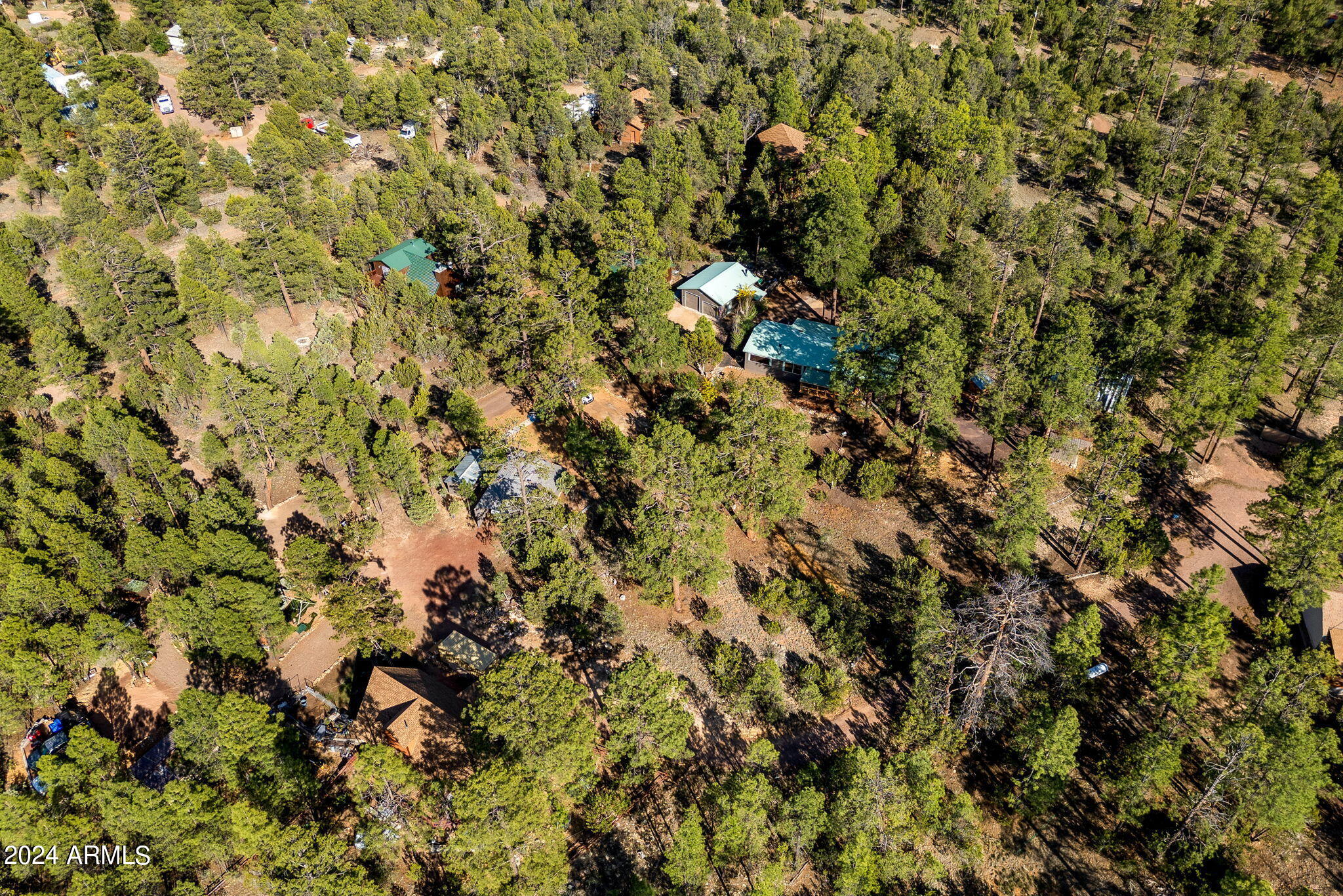 2906 Red Cinder Road Heber, AZ 85928 - Photo 41 of 44 a view of a tree