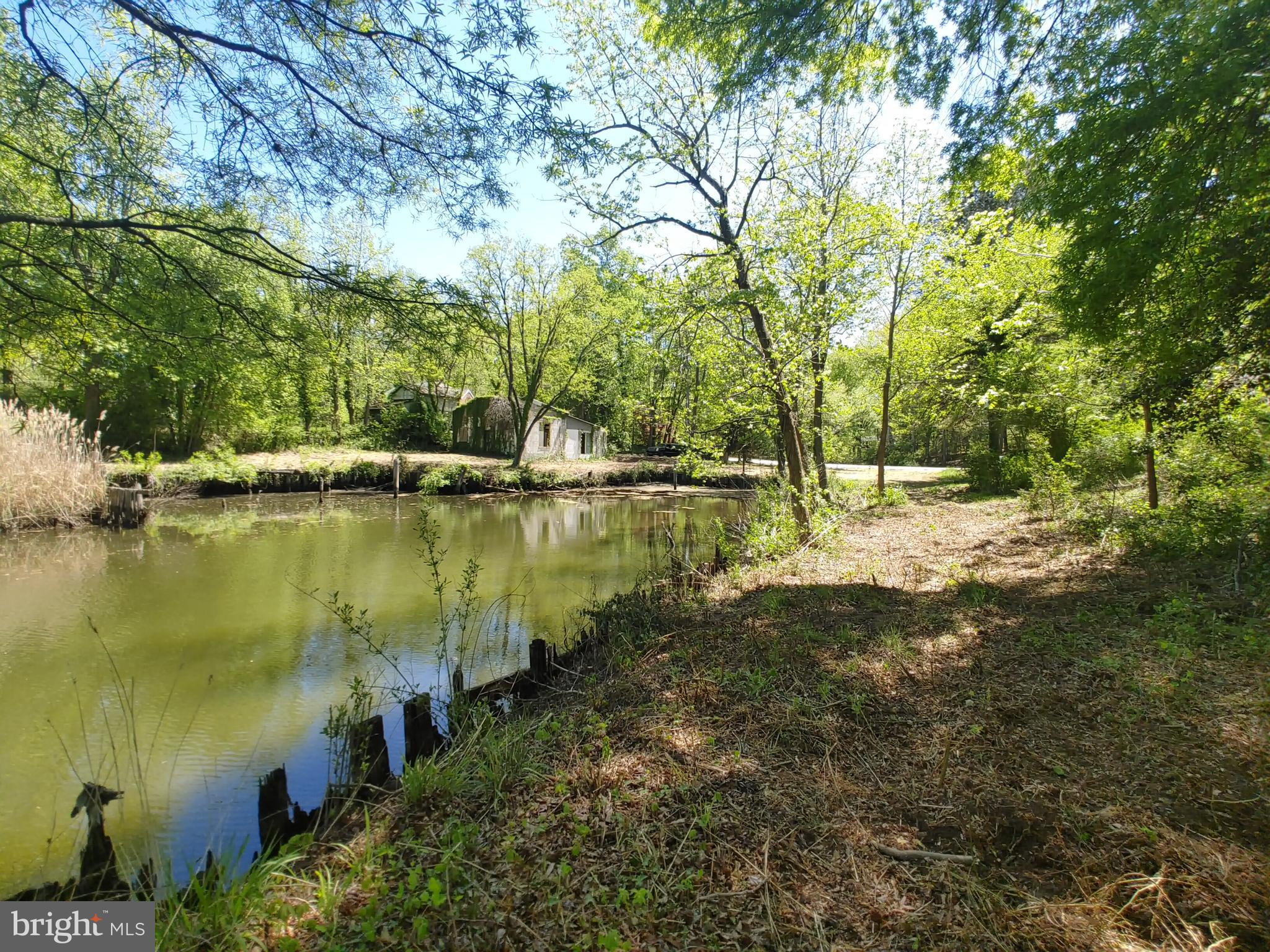 4180 Shoreham Beach Road Edgewater, MD 21037 - Photo 19 of 26 a view of a large body of water with a tree