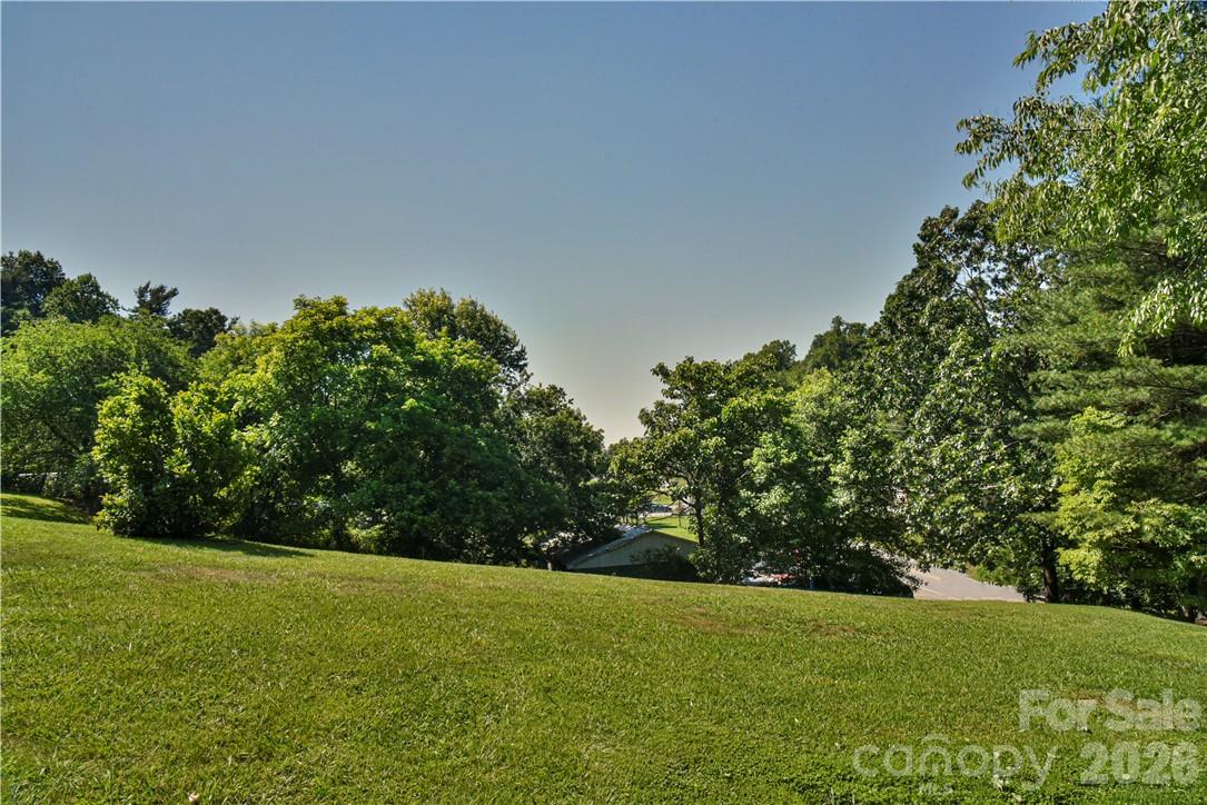 415 Weaverville Road Asheville, NC 28804 - Photo 7 of 47