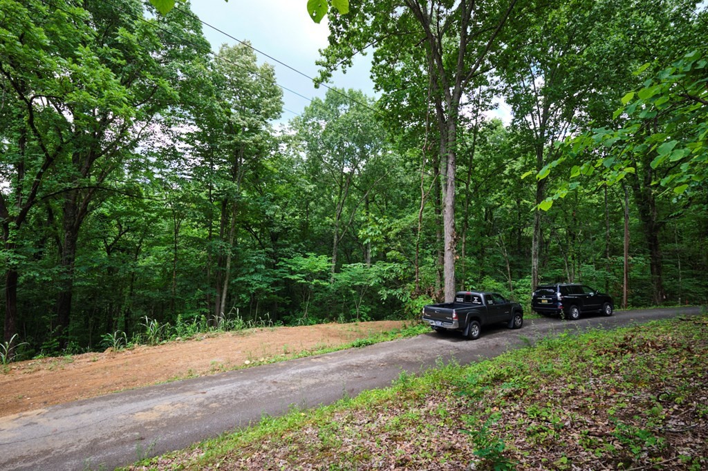 0 Blowing Cave Road Sevierville, TN 37876 - Photo 25 of 34 Gallery Image 25