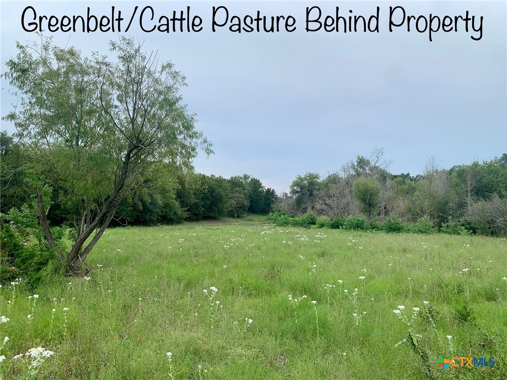 Lot 151 Stagecoach Trail Spring Branch Spring Branch, TX 78070 - Photo 9 of 15