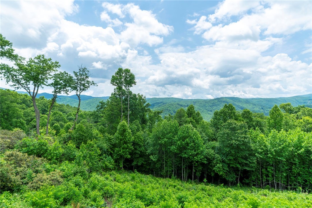 155 Falcon Trace, Unit C321 Boone, NC 28607 - Photo 17 of 43