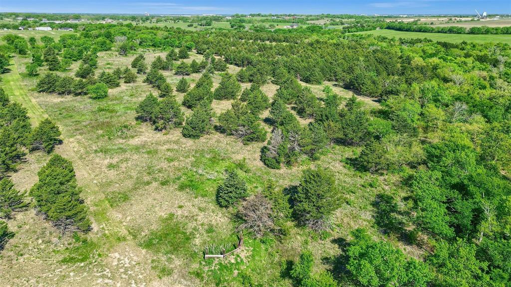 2554 Bennett Road Howe, TX 75459 - Photo 12 of 16 a view of a big yard with plants and large trees