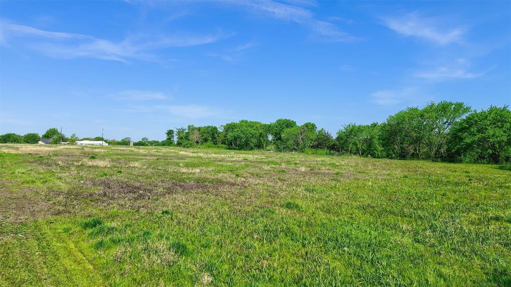 2554 Bennett Road Howe, TX 75459 - Photo 14 of 16 a backyard of a house with lots of green space